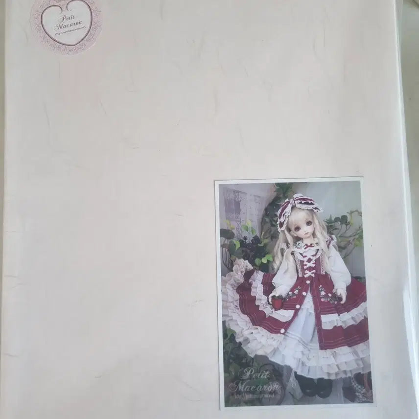 [BUNJANG] Puchimacarong Winter Strawberry Red MSD / 푸치마카롱 윈터스트로베리 레드 MSD