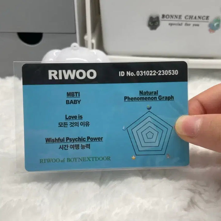 [BUNJANG] BOYNEXTDOOR Riwoo Photocard / 보넥도 리우 포카 (처분)