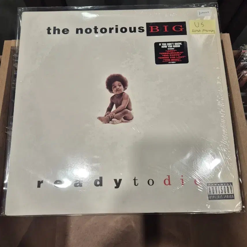 [BUNJANG] Nirvana Ready to Die US First Press LP / ready to die 미국 초판 lp 완전 민트급