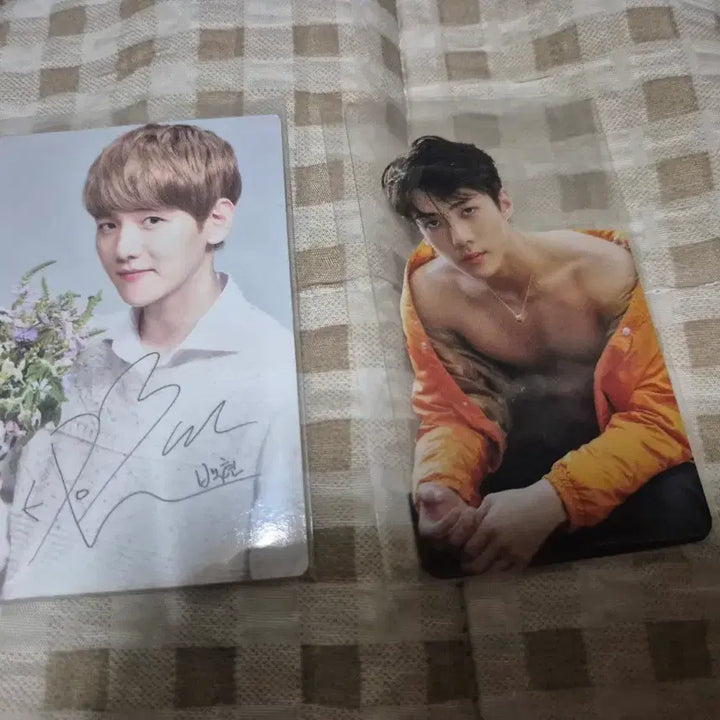 [BUNJANG] EXO Nature Baekhyun Sehun Photocard Set / 엑소 네이처 포토카드 백현 세훈투명포카