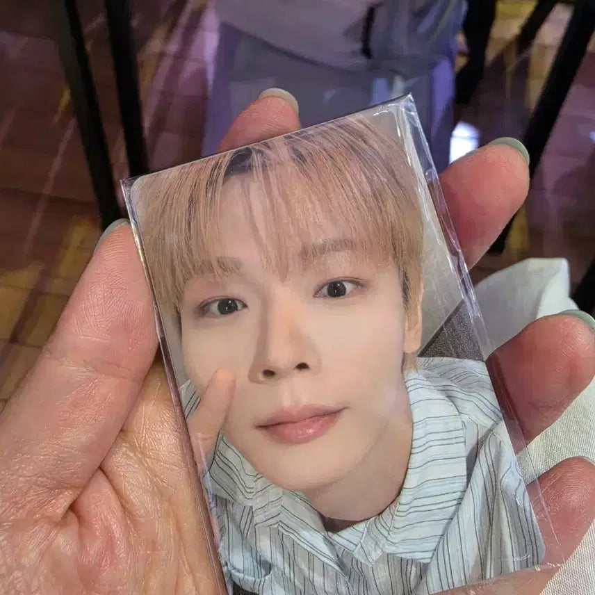 [BUNJANG] Lucy Daegu Island Concert Last Day Gift Photocard Set / 루시 대구 섬콘 막콘 기프트포카 세트