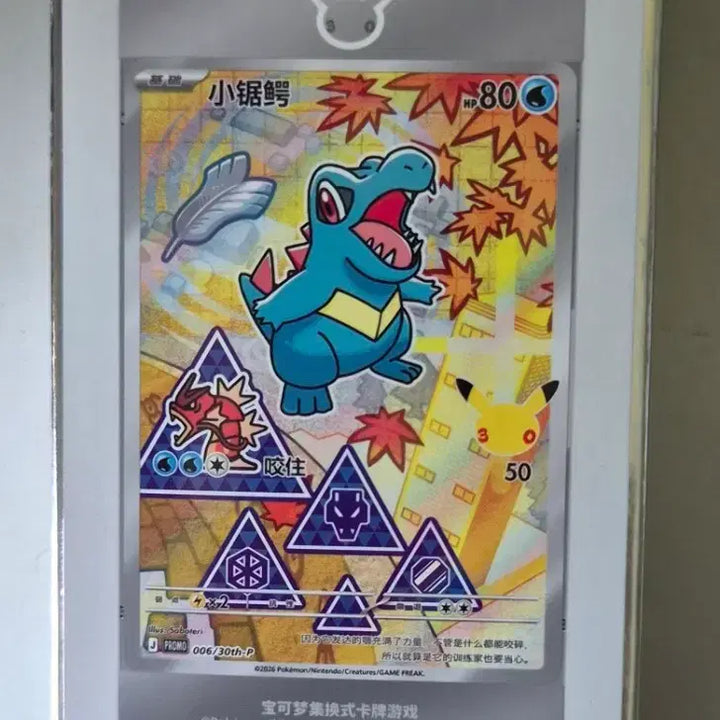[BUNJANG] Pokemon Card First Partner 2nd Edition (China Reissue) / 포켓몬 카드 퍼스트 파트너 2탄 중판(중국판) 팝니다.