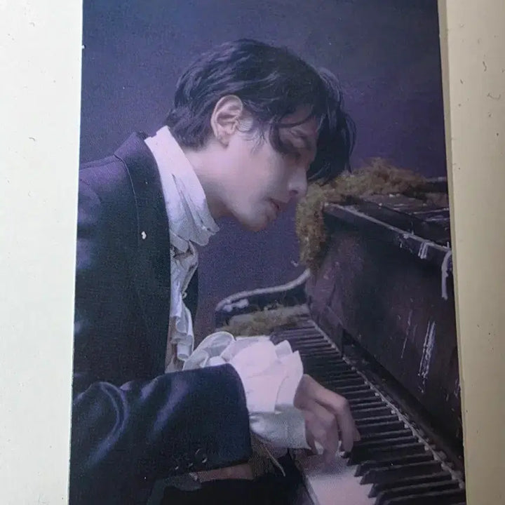 [BUNJANG] Park Hyo Shin Beethoven Melon Photocard / 박효신 베토벤 멜론 포토카드
