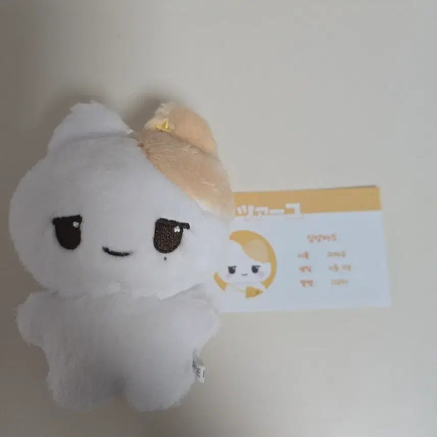 [BUNJANG] NCT WISH Yushi Mozzayu Doll / 엔시티 위시 유우시 인형 모짜유