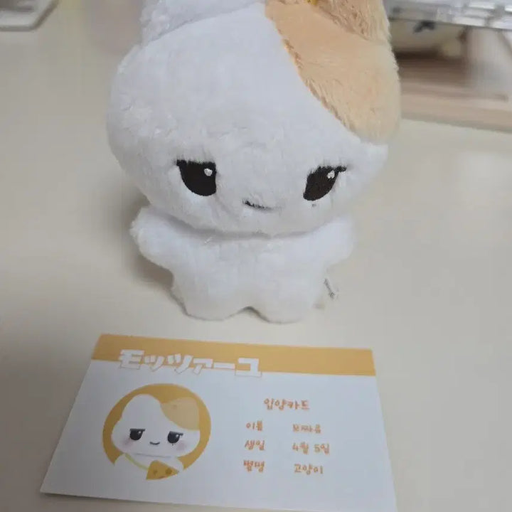 [BUNJANG] NCT WISH Yushi Mozzayu Doll / 엔시티 위시 유우시 인형 모짜유