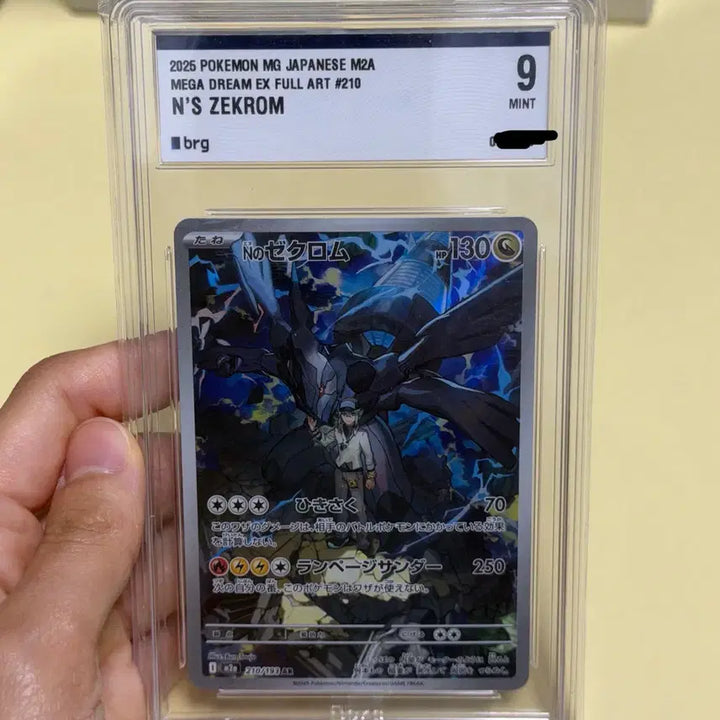 [BUNJANG] Pokemon Card N&