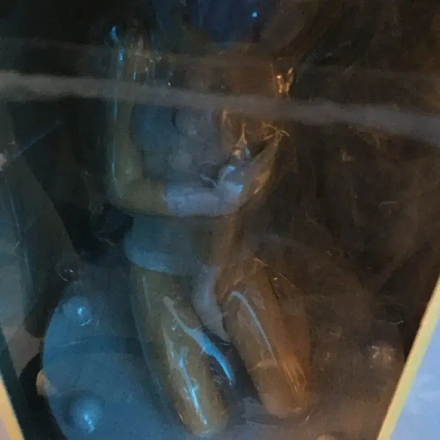 [BUNJANG] High Grade White Christmas Rei Classic Anime Figure / 하이그레이드 화이트 크리스마스 레이 고전 미소녀 피규어