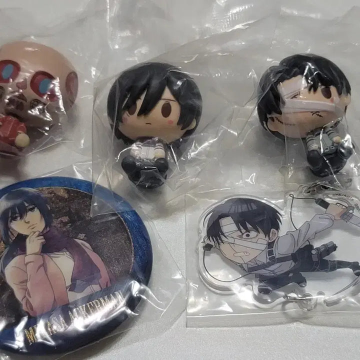[BUNJANG] Attack on Titan Chocokko Kuji Hawi Sang / 진격거 초코노코 쿠지 하위상