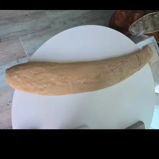 [BUNJANG] 11cm Fossilized Fish Specimen / 58.  11센치 물고기화석대형