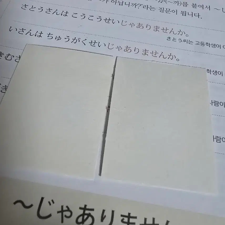 [BUNJANG] Pokemon Bread Stickers Bundle Set / 포켓몬 빵 뮤, 검은 레쿠쟈 띠부씰 일괄판매
