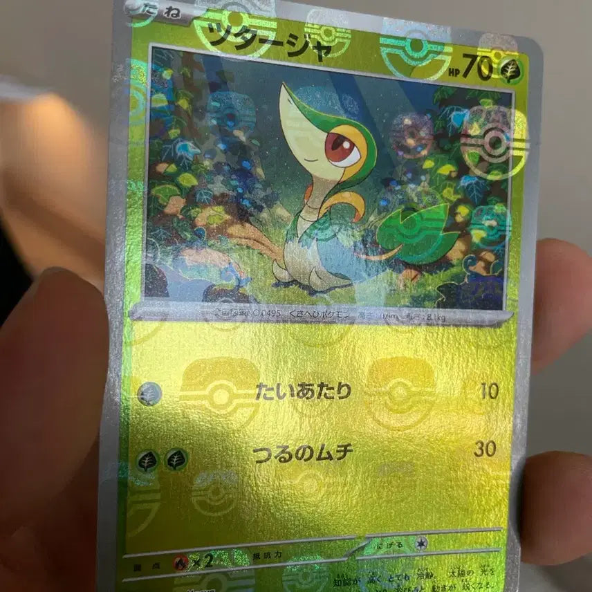 [BUNJANG] Pokemon Card Chirubi Japanese Master Ball Edition / 포켓몬카드 주리비얀 일판 마스터볼 마볼카드
