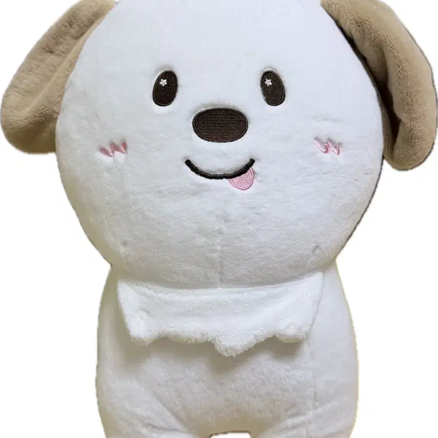 [BUNJANG] RIIZE Anton 40cm Giant Dragon Plush Doll / 라이즈 앤톤 40cm 대왕 멍룡이 뚱룡이 왕룡이 인형