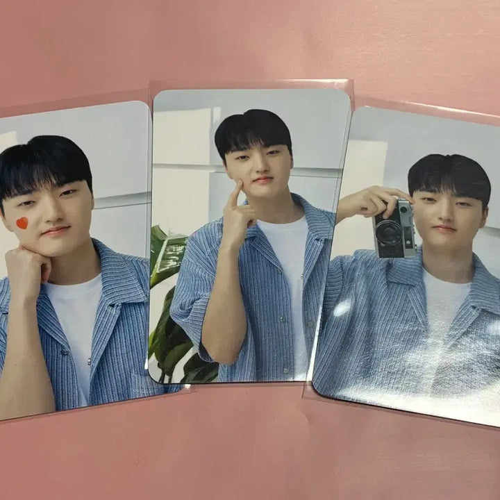 [BUNJANG] T1 Feyz Daewoong Pharmaceutical Photocard 3-Set Bundle / 티원 페이즈 대웅제약 포카 3종 일괄 양도