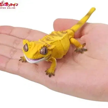 [BUNJANG] Les Petits Crested Gecko Normal Yellow (Series 2) / 생물대도감 레쁘띠 2탄 크레스티드 게코 노멀 옐로우