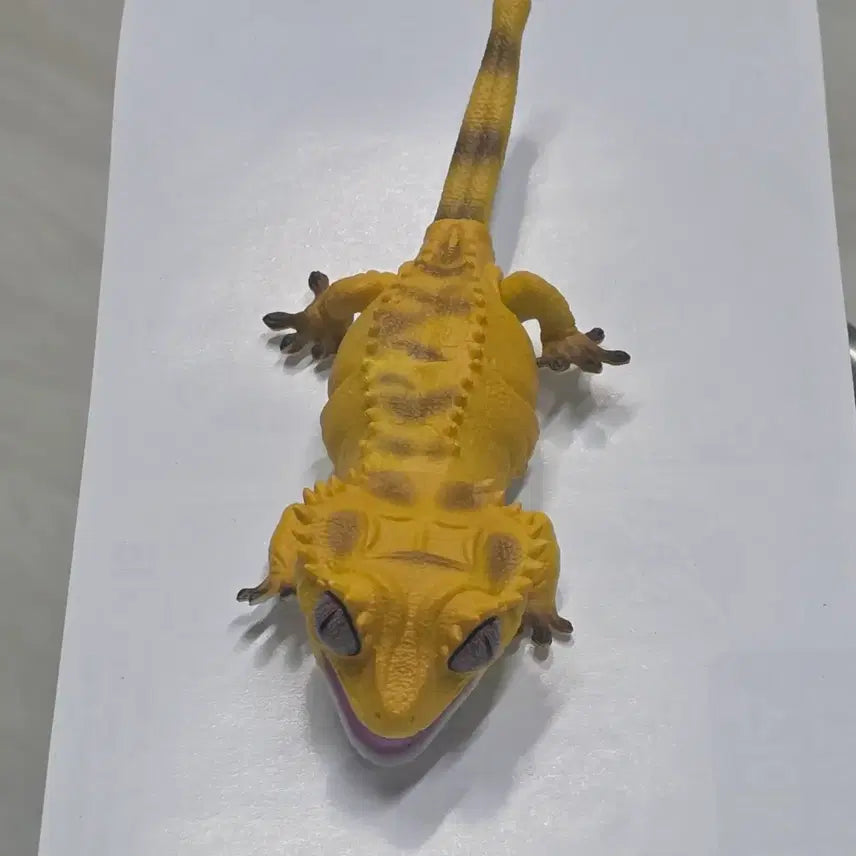 [BUNJANG] Les Petits Crested Gecko Normal Yellow (Series 2) / 생물대도감 레쁘띠 2탄 크레스티드 게코 노멀 옐로우