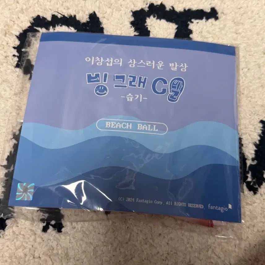 [BUNJANG] BTOB Lee Changsub Binggrae C Beach Ball Goods / 이창섭 빙그래 C 비치볼 굿즈