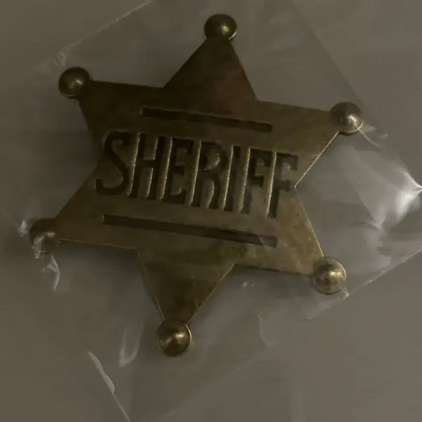 [BUNJANG] Toy Story Sheriff Badge Woody Buzz / 토이스토리 보안관 뱃지 제시 우디 버즈