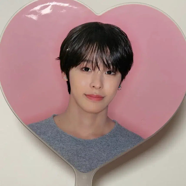 [BUNJANG] Riku Steady Uchiwa / 리쿠 스테디 우치와