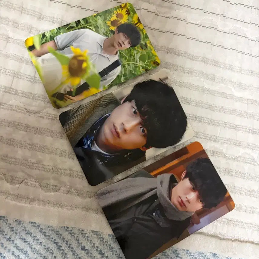 [BUNJANG] Final Piece Photocard 3-Set Bundle / 파이널 피스 포토카드 3종 일괄