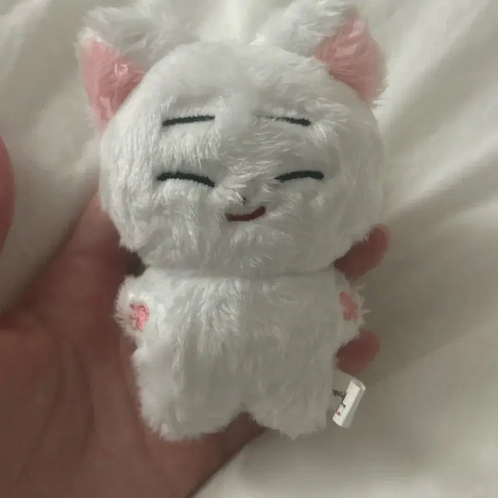 [BUNJANG] ENHYPEN Sunoo Korean Fan-made Doll / 엔하이픈 김선우 한국폭 인형