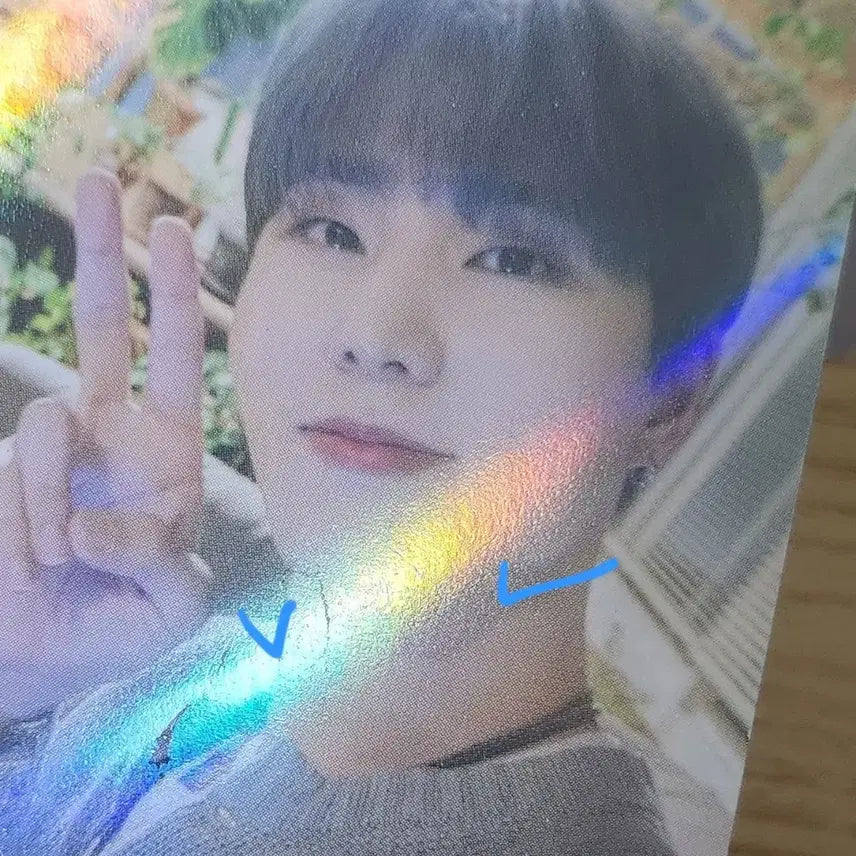 [BUNJANG] DAY6 Young K Bundle Set Photocard / 일괄) 데이식스 영케이 포카