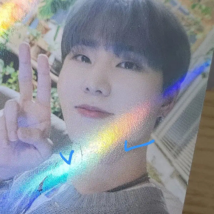 [BUNJANG] DAY6 Young K Bundle Set Photocard / 일괄) 데이식스 영케이 포카