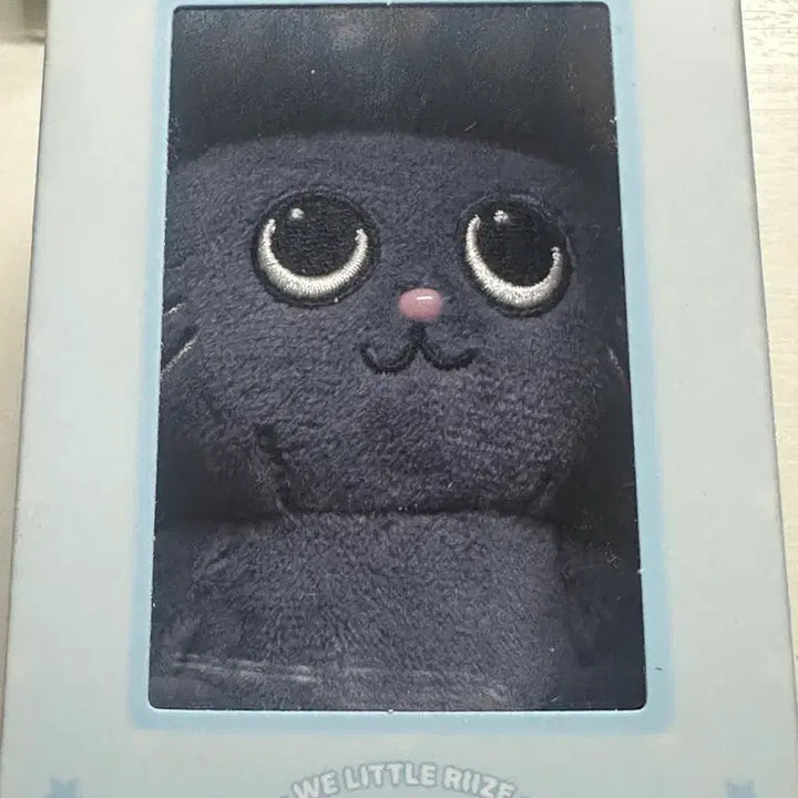 [BUNJANG] RIIZE Wonbin TO-NYANGDEOK Magnetic Plush Doll / 라이즈 원빈 토냥덕 자석 인형 마그네틱 마그넷 돌 리라즈 굿즈