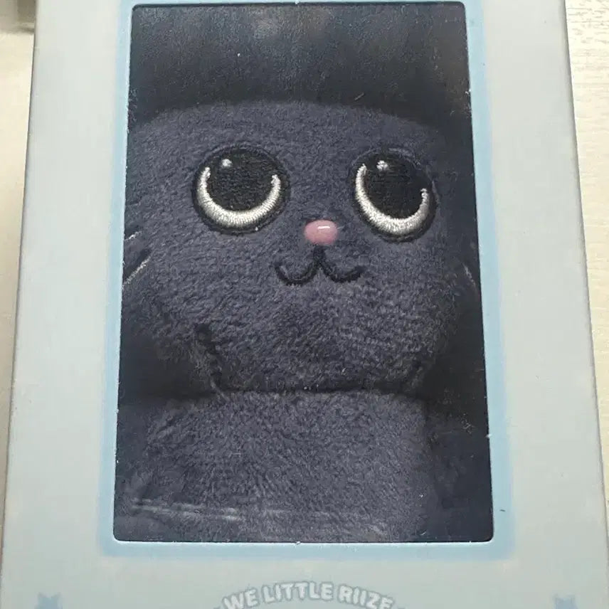 [BUNJANG] RIIZE Wonbin TO-NYANGDEOK Magnetic Plush Doll / 라이즈 원빈 토냥덕 자석 인형 마그네틱 마그넷 돌 리라즈 굿즈