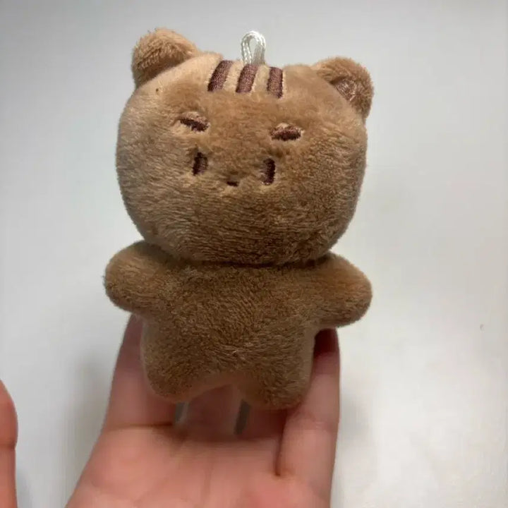 [BUNJANG] DAY6 Wonpil Pilramji Doll / 데이식스 원필 비공굿 인형 필람쥐 판매합니다