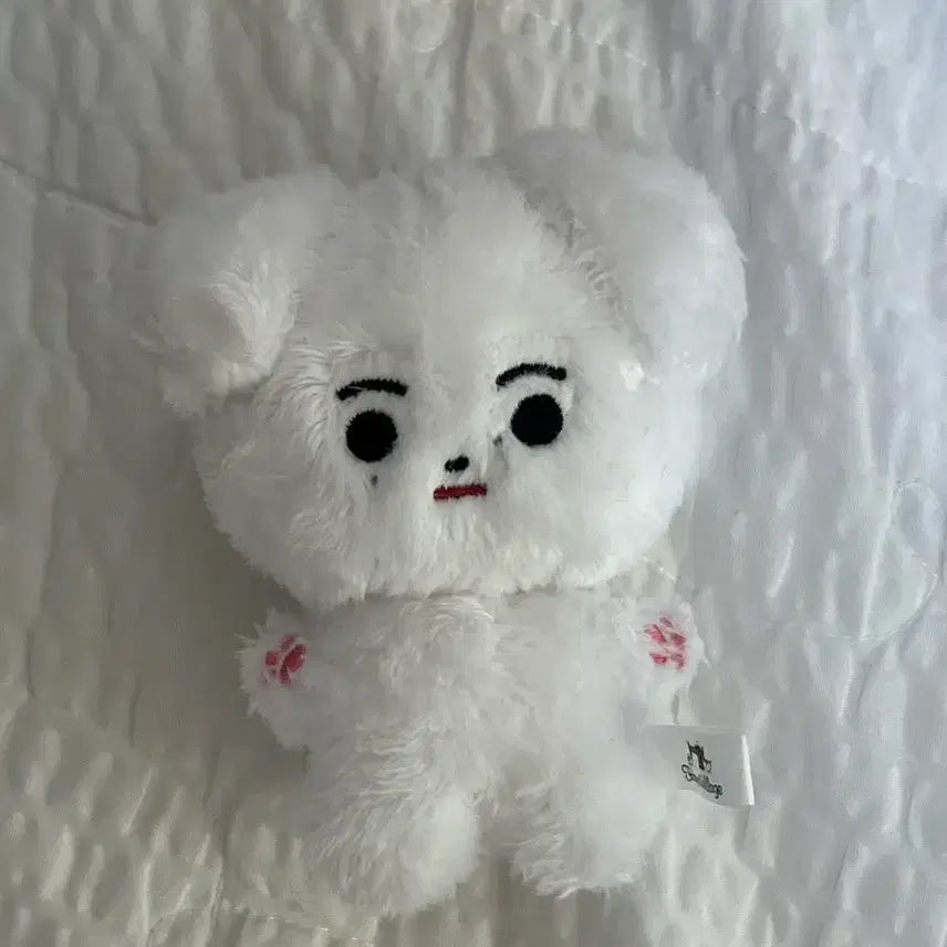 [BUNJANG] Enhypen Sunghoon 10cm Doll Korean Ver. / 엔하이픈 엔니멀즈 성훈 인형 한국개 10cm