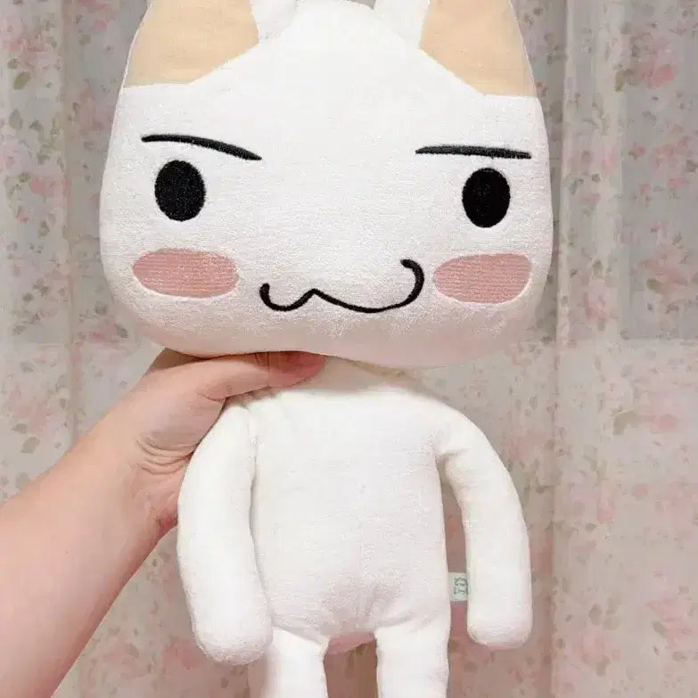 [BUNJANG] Torotaro Medium Plush Doll / [오늘만] 도코데모잇쇼 토로 중형 기본 인형