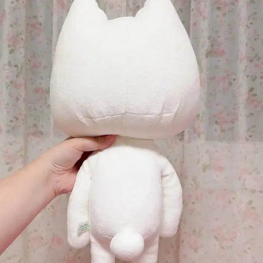 [BUNJANG] Torotaro Medium Plush Doll / [오늘만] 도코데모잇쇼 토로 중형 기본 인형