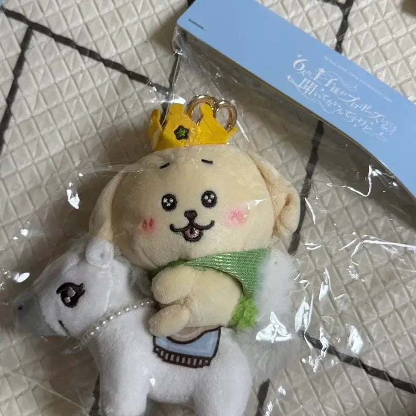 [BUNJANG] NCT WISH Japan Fanmeeting Goods Baekma Wishdoll Daengtrieber Photocard Holder / 엔시티위시 일본 팬미팅 굿즈 백마 위시돌 댕트리버 미개봉 현물