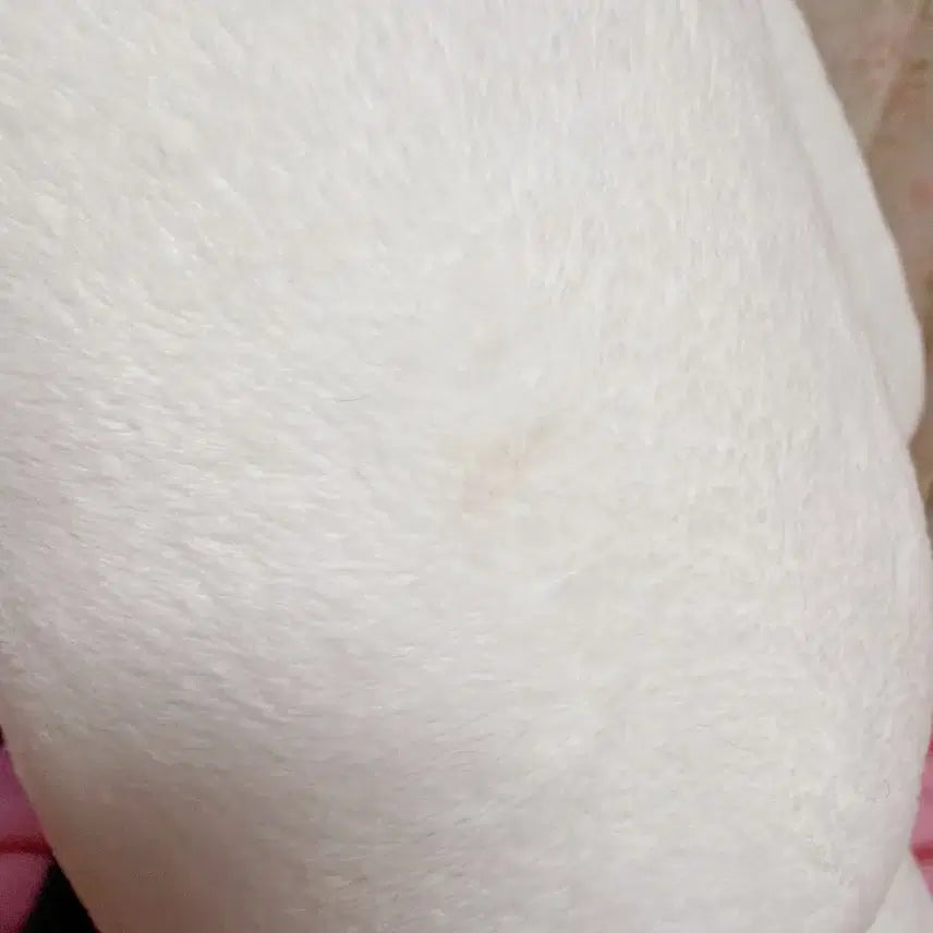 [BUNJANG] Dokodemo Issyo Toro Kuro Costume Large Plush / [일괄] 도코데모잇쇼 토로 쿠로 코스튬 대형 인형