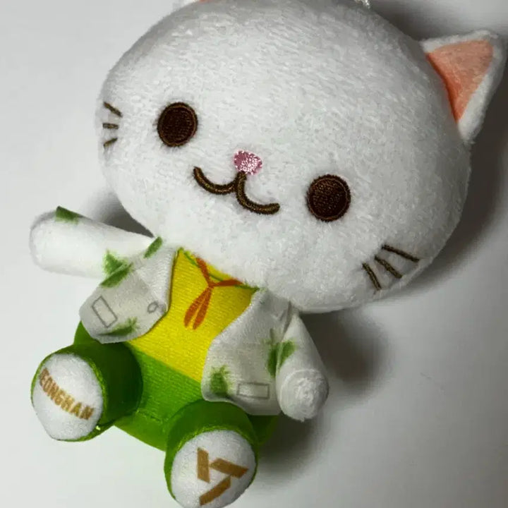 [BUNJANG] SEVENTEEN Jeonghan Sega Japanese Official Cat Mascot Plush / 세븐틴 정한 sega 일본 공식 고양이 마스코트 인형
