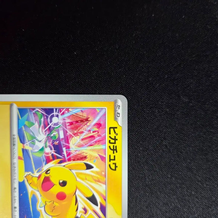 [BUNJANG] 2026 Pikachu Gym Promo Card (133/M-P) / 2026 피카츄 짐프로모 카드(133/M-P)