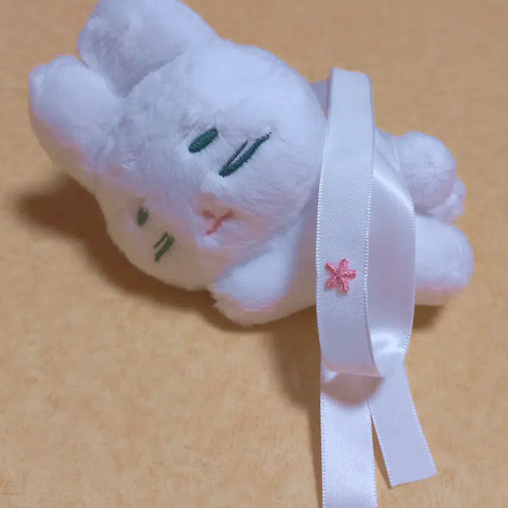 [BUNJANG] Hwasan Gwihwan Baek Cheon Non-Official Plush Doll / 화산귀환 백천 비공식 솜인형 쿨쿨동룡