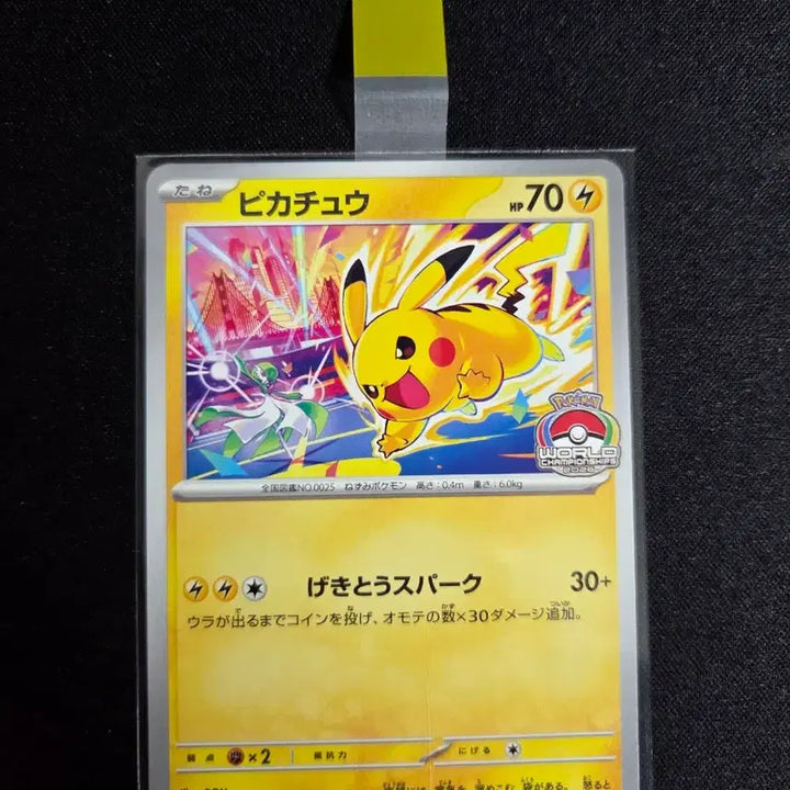 [BUNJANG] 2026 Pikachu Gym Promo Card (133/M-P) / 2026 피카츄 짐프로모 카드(133/M-P)