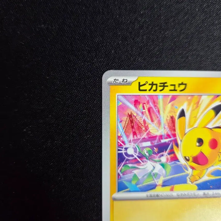 [BUNJANG] 2026 Pikachu Gym Promo Card (133/M-P) / 2026 피카츄 짐프로모 카드(133/M-P)