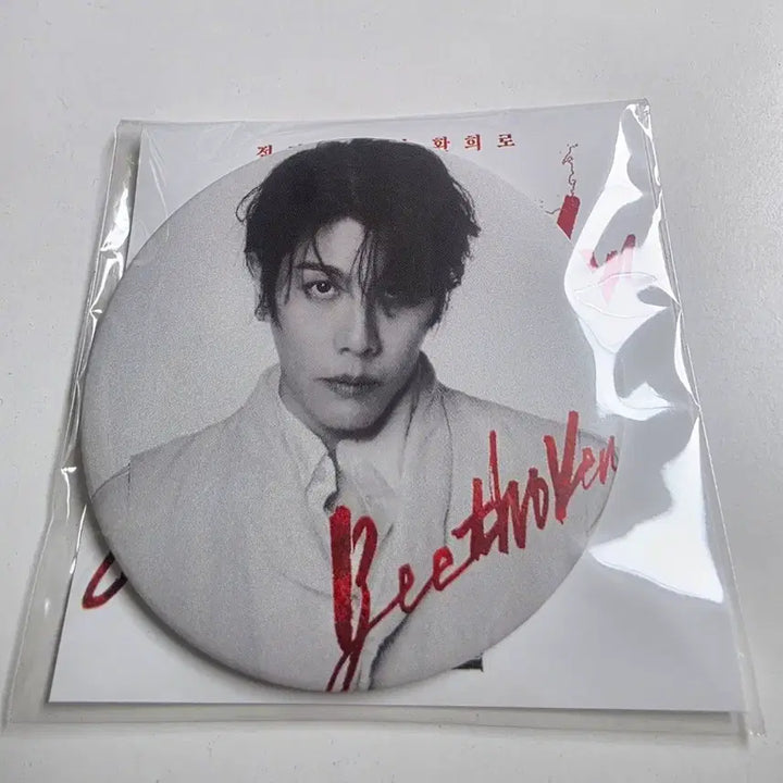 [BUNJANG] Park Hyo Shin Beethoven Mirror Badge / 박효신 베토벤 거울 뺏지