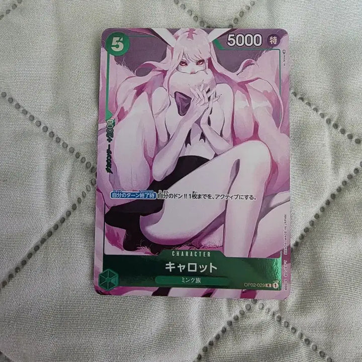 [BUNJANG] One Piece Card Bundle Set / 원피스 카드 일괄