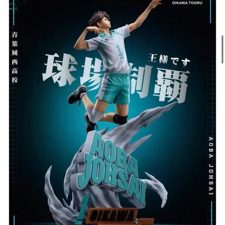 [BUNJANG] Haikyuu!! Tooru Oikawa Hikari Resin Figure / 하이큐 오이카와 토오루 Hikari 레진 피규어