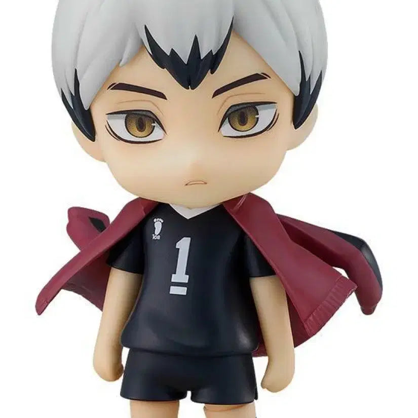 [BUNJANG] Haikyuu!! Shinsuke Kita Nendoroid Figure Acrylic Plush / 하이큐 키타 신스케 넨도 피규어 아크릴 누이 굿즈 이나리자키