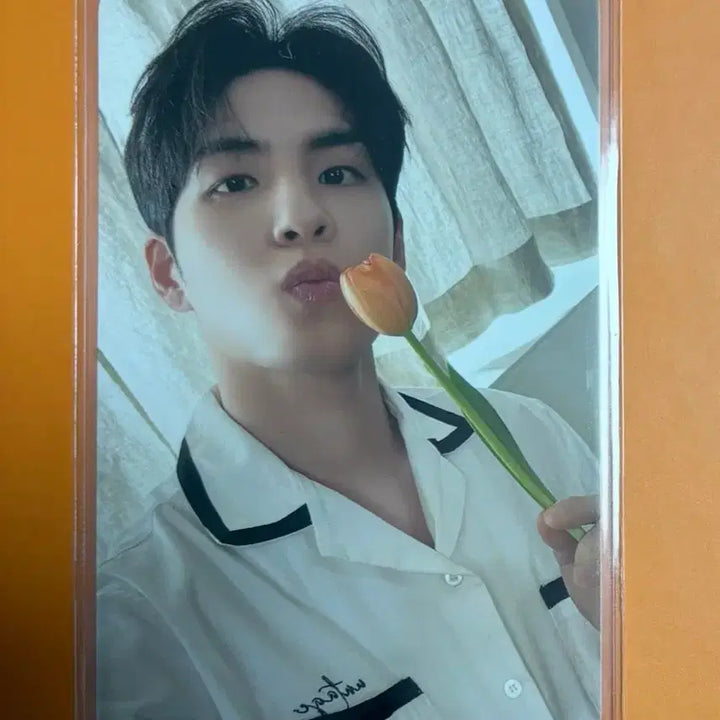 [BUNJANG] Day6 Wonpil Forever Photocard / 데이식스 원필 포에버 포카