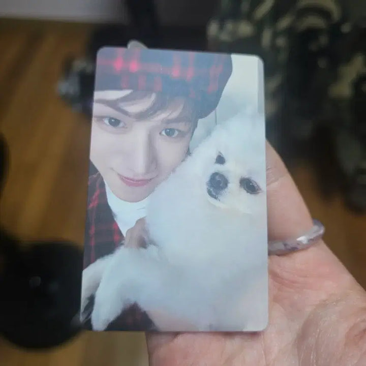 [BUNJANG] BOYNEXTDOOR Riwoo BOYLIFE Tower Records Lucky Draw Photocard / 보이넥스트도어 리우 BOYLIFE 타워레코드 럭드 양도