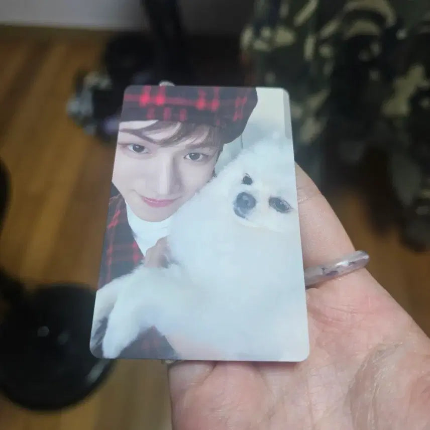 [BUNJANG] BOYNEXTDOOR Riwoo BOYLIFE Tower Records Lucky Draw Photocard / 보이넥스트도어 리우 BOYLIFE 타워레코드 럭드 양도
