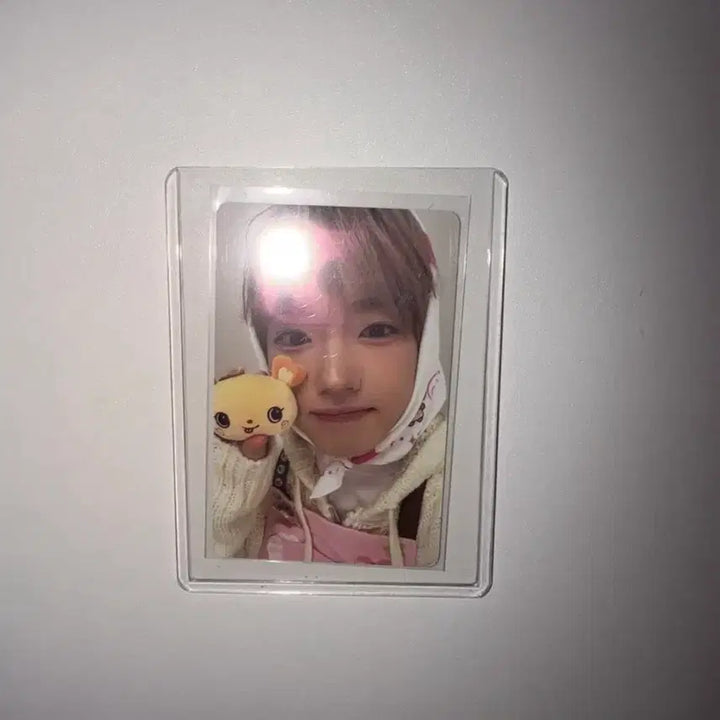 [BUNJANG] NCT WISH Bakery Sakuya Photocard / 엔시티위시 위시베이커리 7만원 이상 구매 사쿠야 포카 양도