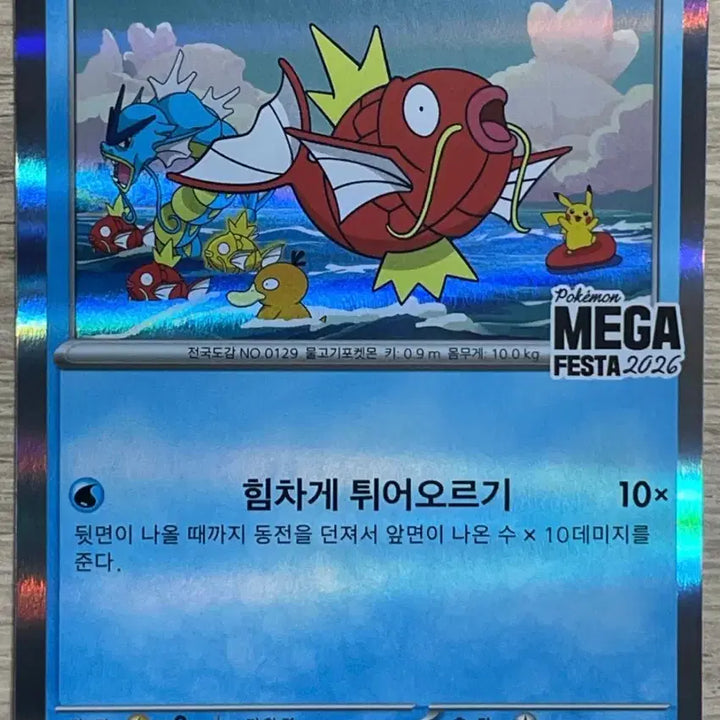 [BUNJANG] Pokemon Magikarp Promo Card / 포켓몬 카드 잉어킹 프로모
