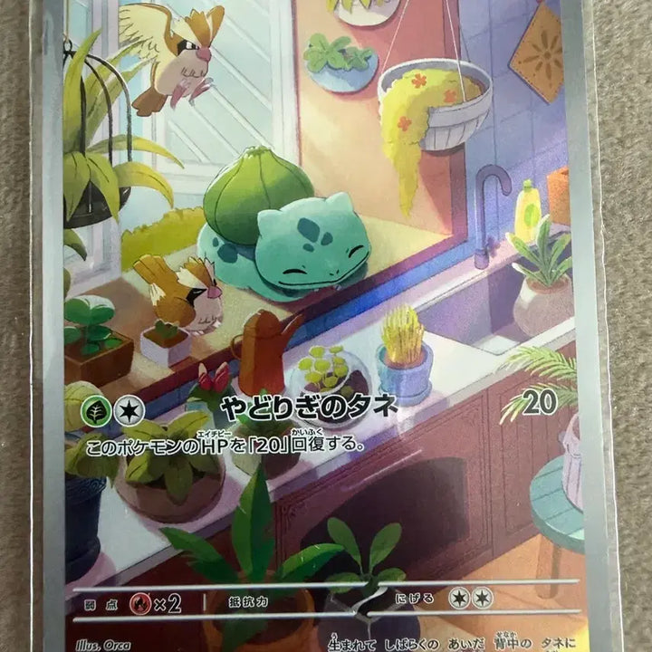[BUNJANG] Pokemon Scarle &amp; Violet Edition Ivysaur Card (Japanese) / 포켓몬 이상해씨 스칼렛바이올렛 한정판 카드 (일판)