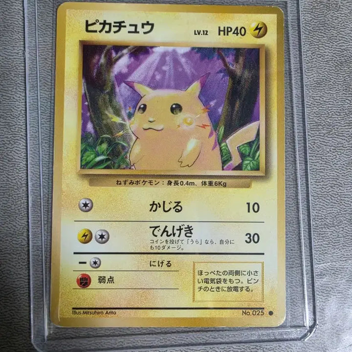 [BUNJANG] Pokemon Card 1998 "Fat Pikachu" / 포켓몬카드 1998년 뚱카츄